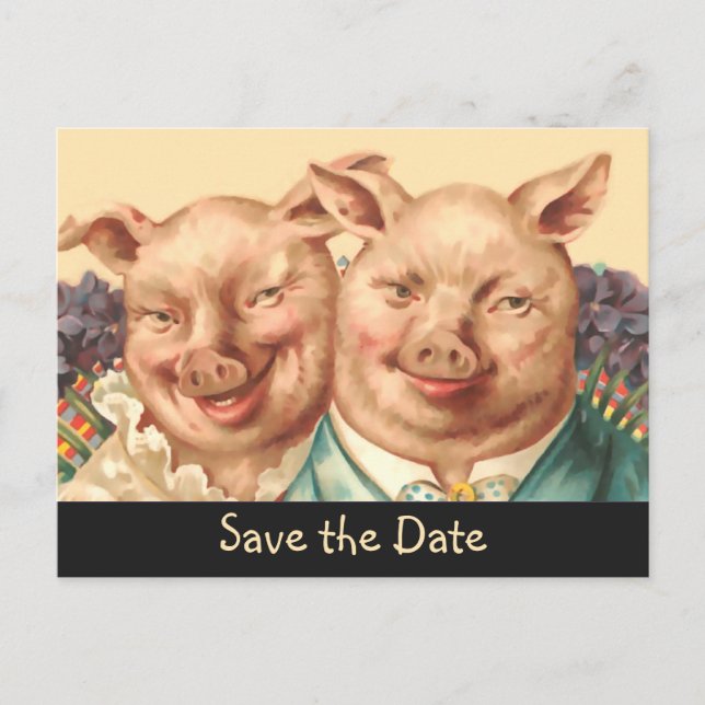 The Handsome Pig Couple Save the Date Announcement Postcard (Front)