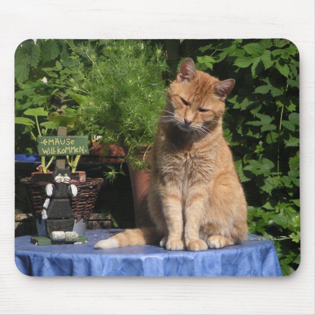 The Hangover, Cats, Animals Mouse Mat (Front)