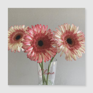 The Happy Gerbera Pink Flower Photo +Custom Name