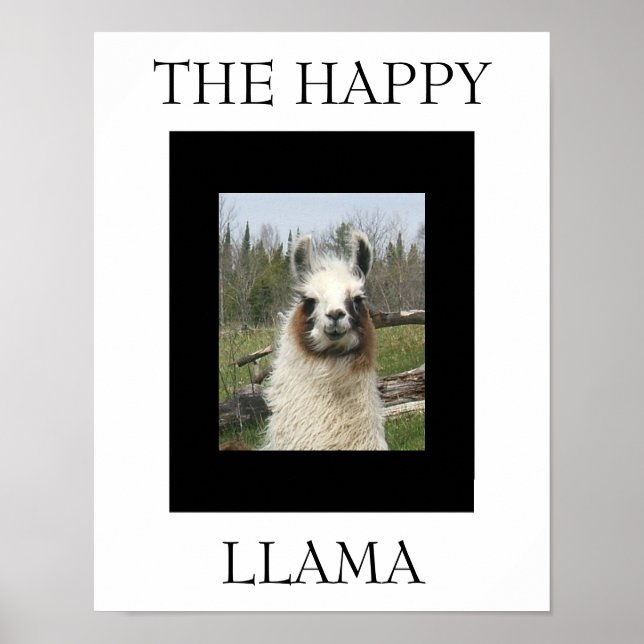 THE HAPPY LLAMA POSTER (Front)