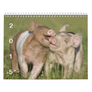 The Happy Piglets 2015 - Cute Baby Pigs Calendar