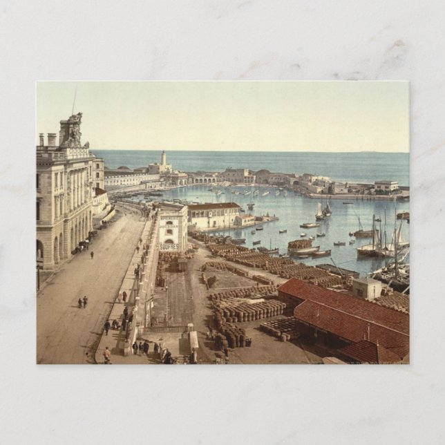 The harbour and admiralty, Algiers, Algeria Postcard (Front)