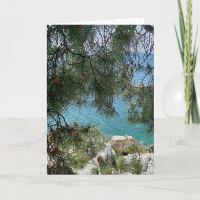 The harbour at Skiathos Port. Blank. Card (Front)