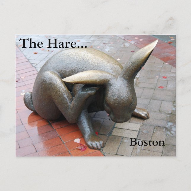 The Hare... Postcard (Front)