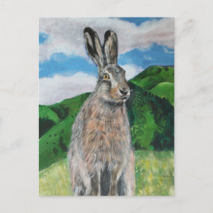The Hare Postcard