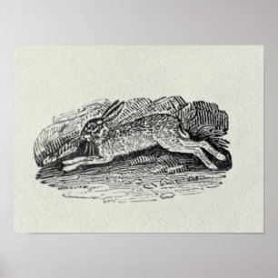 The Hare Poster