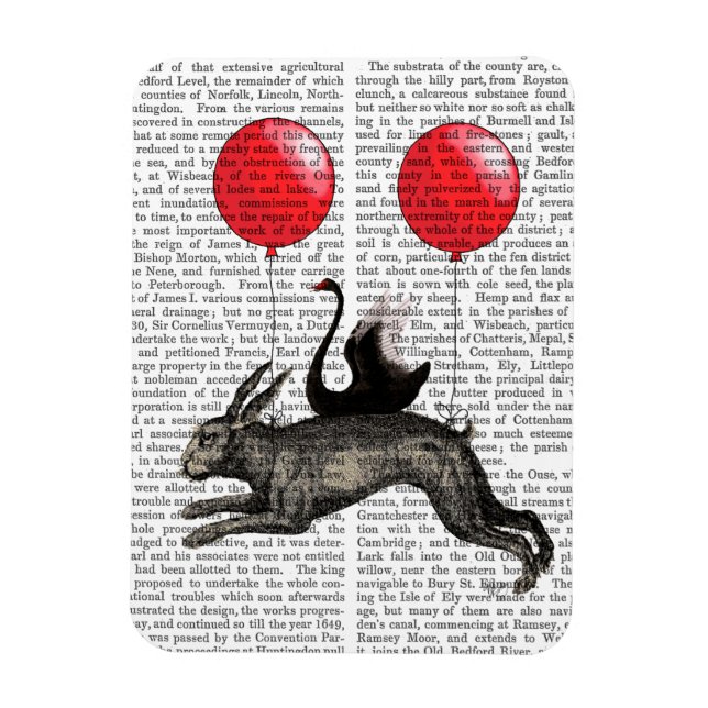 The Hare Ship Magnet (Vertical)