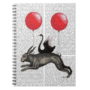 The Hare Ship Notebook