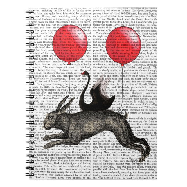 The Hare Ship Notebook (Front)