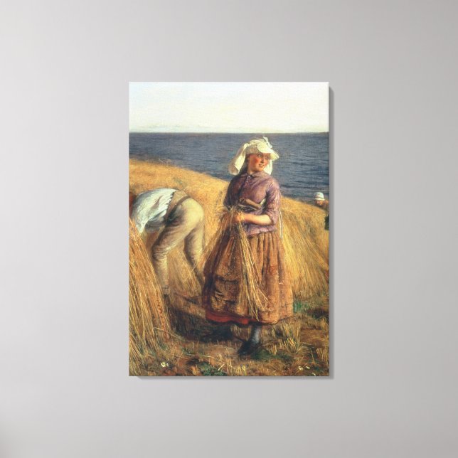 The Harvest Canvas Print (Front)