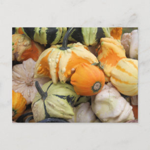 The Harvest Postcard