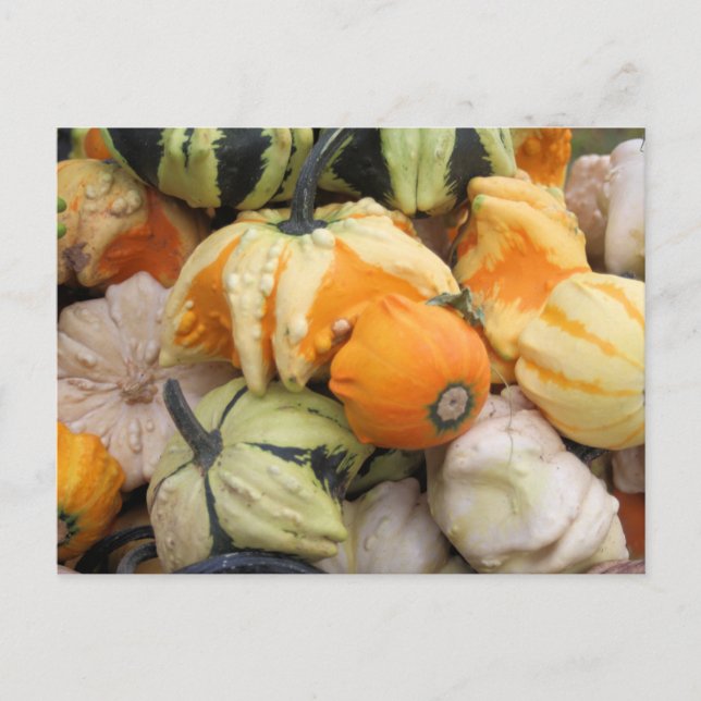 The Harvest Postcard (Front)