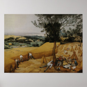 The Harvester by Bruegel the Elder - Poster