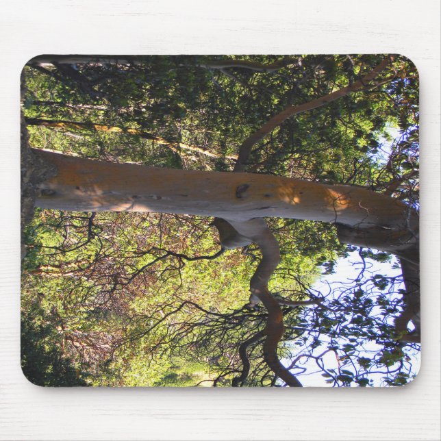The Haunted  tree... Mouse Mat (Front)