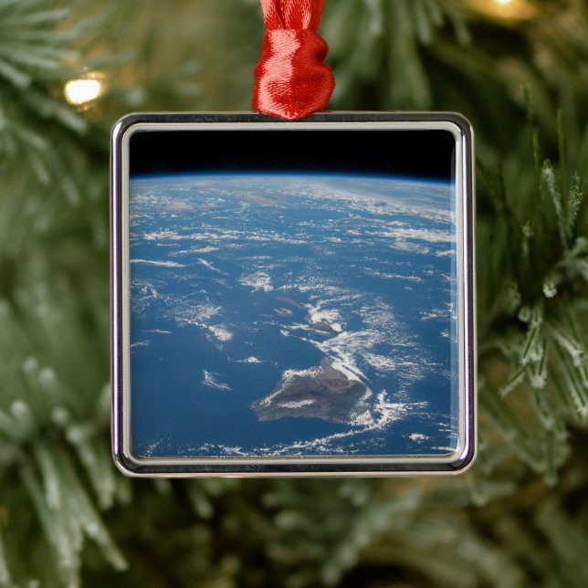 The Hawaiian Island Chain Metal Tree Decoration (Tree)