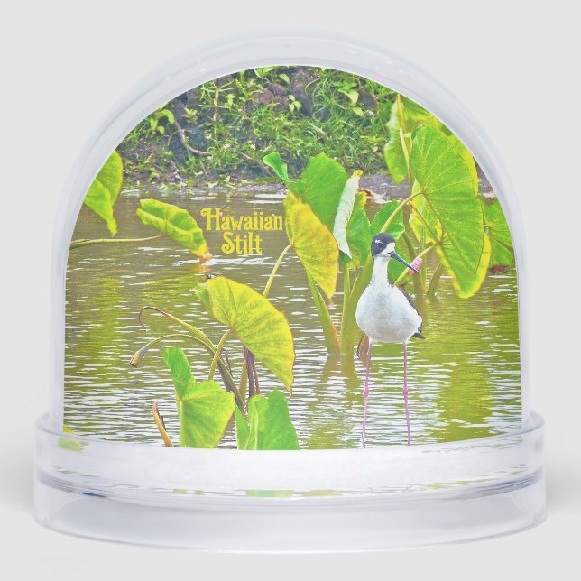 The Hawaiian Stilt Bird Snowglobe (Front)