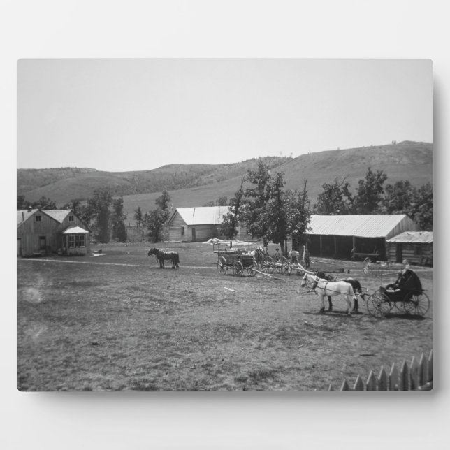 The Haylie Ranch, Crook County, Wyoming, c.1890 (b Plaque (Front)