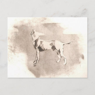 The Headless Dog Postcard