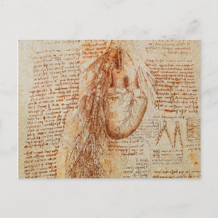 The Heart and the Bronchial Arteries Parchment Postcard