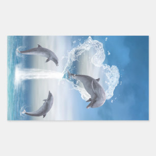 The Heart Of The Dolphins Rectangular Sticker