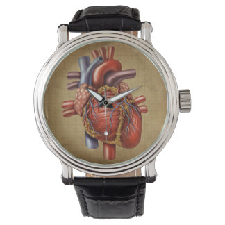 the Heart Watch