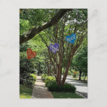 The Hearts of Avondale Postcard