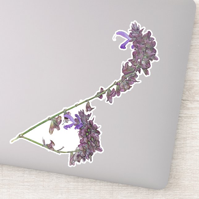 The Herb Clary Sage | Vinyl Sticker (Detail)