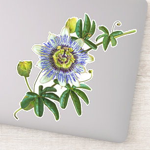 The Herb Passionflower Vinyl Sticker