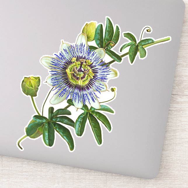 The Herb Passionflower | Vinyl Sticker (Detail)