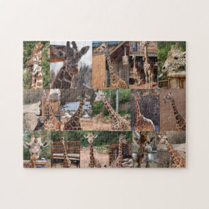 The Herd Jigsaw Puzzle
