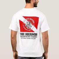 The Hermes (wreck diving)