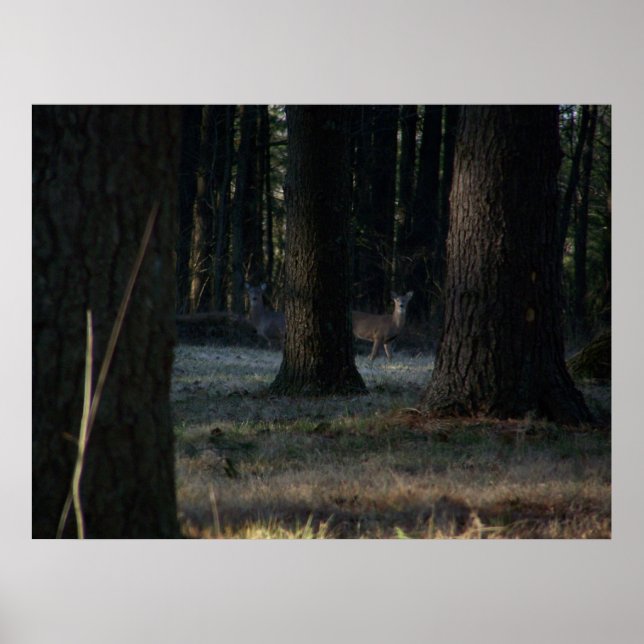 The Hidden Deer Poster (Front)