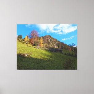 The High Meadow - Wild Nature Romania Canvas Print