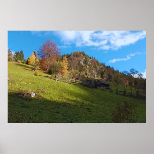 The High Meadow - Wild Nature Romania Poster