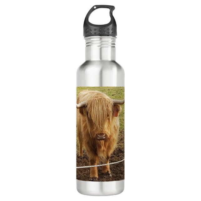 The Highland Cow 710 Ml Water Bottle (Front)