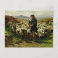The Highland Shepherd by Rosa Bonheur Postcard