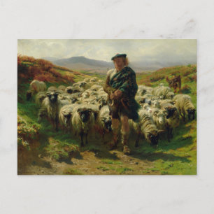The Highland Shepherd by Rosa Bonheur Postcard
