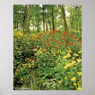 The Hills are Alive with Wildflowers Poster
