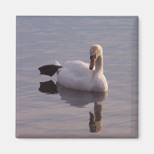 The Hokey Pokey Magnet