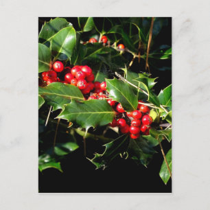 The Holly And The Ivy Postcard