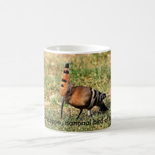 The Hoopoe, national bird of Israel, coffee mug