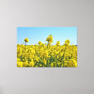 The Horizon Line - Colours of Wild Nature Romania Canvas Print