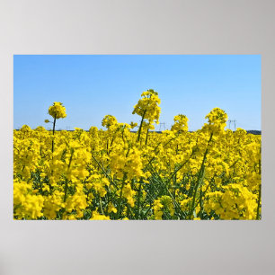 The Horizon Line - Colours of Wild Nature Romania Poster