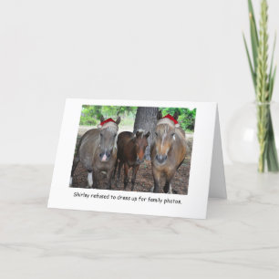 The Horse Family Photo Christmas Card