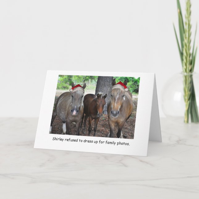 The Horse Family Photo Christmas Card (Front)