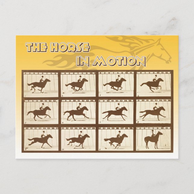 The Horse in Motion Postcard (Front)