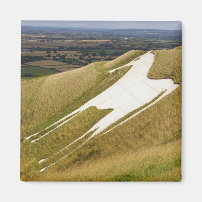 The Horse Magnet (Front)