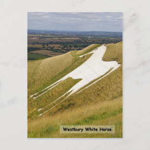 The Horse Postcard