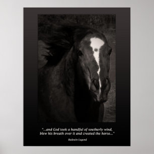 The Horse Poster