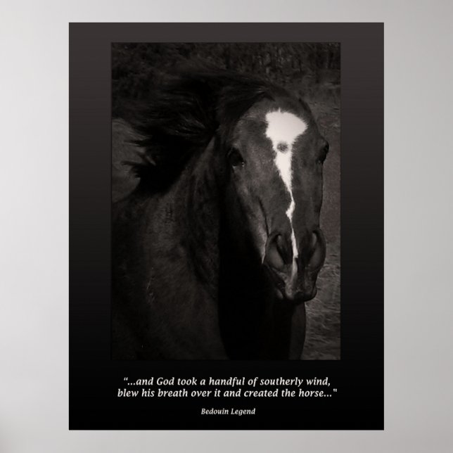 The Horse Poster (Front)